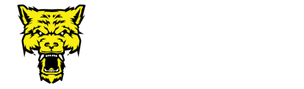 Renegades of Wrestling